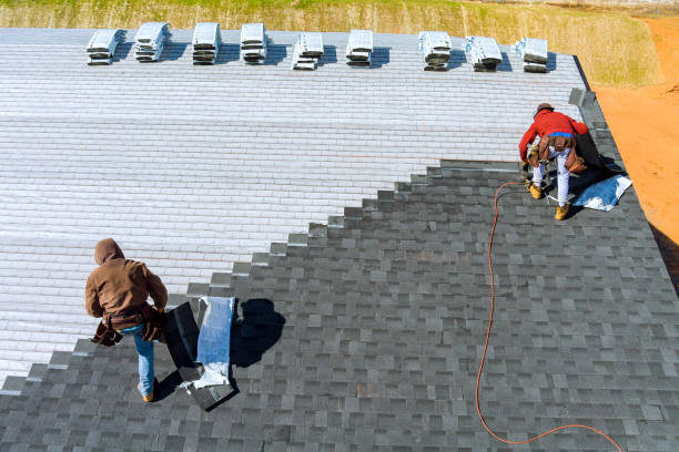 Best Asphalt Shingle Roofing  in Key Vista, FL